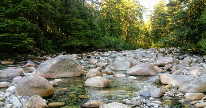 Respiratory Therapist