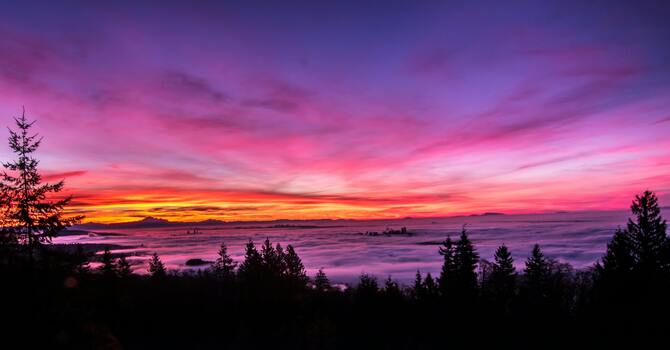 Respiratory Therapist